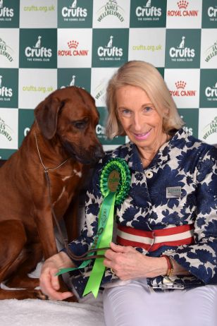 Crufts Rhodesian Ridgeback - Shangani